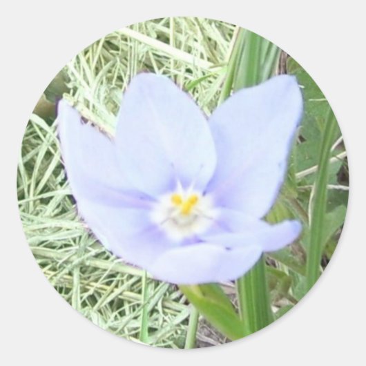 Lächelnde Blue Wildblume Stickers (Vorderseite)