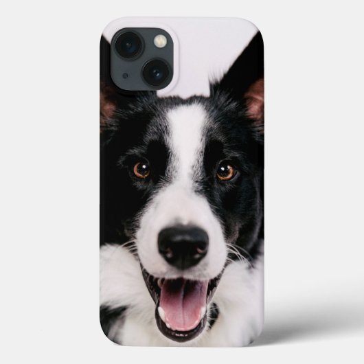 Lächelnde Border-Collie Getty Bild-| A Case-Mate iPhone Hülle (Rückseite)
