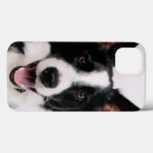 Lächelnde Border-Collie Getty Bild-| A Case-Mate iPhone Hülle (Rückseite (Horizontal))