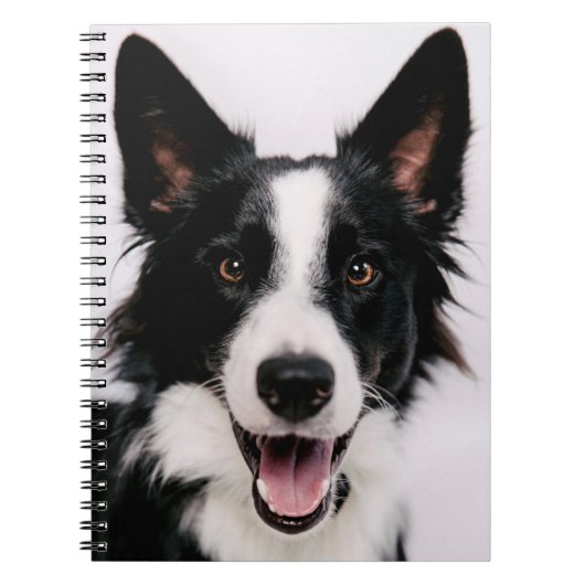 Lächelnde Border-Collie Getty Bild-| A Notizblock (Vorderseite)
