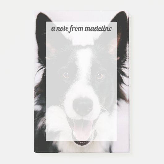 Lächelnde Border-Collie Getty Bild-| A Post-it Klebezettel (Vorderseite)