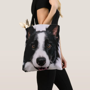 Lächelnde Border-Collie Getty Bild-  A Tasche