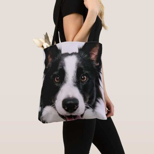 Lächelnde Border-Collie Getty Bild-| A Tasche (Von Nahem)
