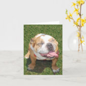 Lächelnde Bulldogge Karte (Gelbe Blume)