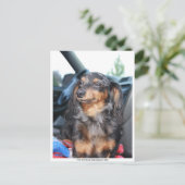 Lächelnde Dackel, The Traveling Dackel, USA Postkarte (Stehend Vorderseite)