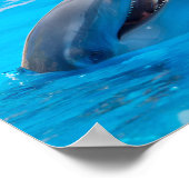 Lächelnde Delphine Poster (Ecke)