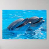 Lächelnde Delphine Poster (Vorne)