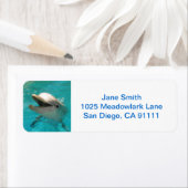 Lächelnde Dolphin (Insitu)