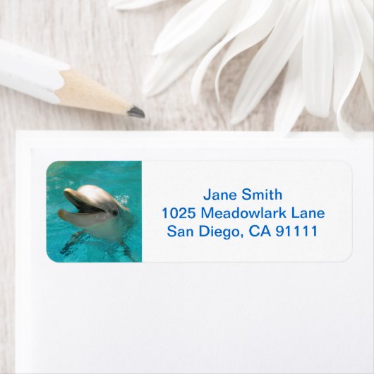 Lächelnde Dolphin (Insitu)