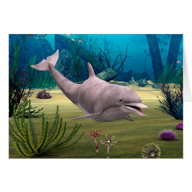 Lächelnde Dolphin (Vorderseite (Horizontal))