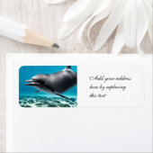 Lächelnde Dolphin (Insitu)