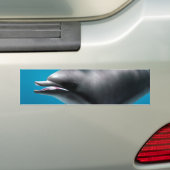 Lächelnde Dolphin Autoaufkleber (Auf Auto)