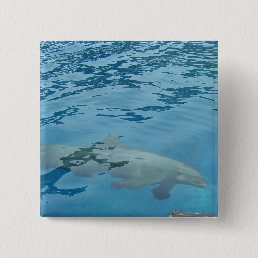 Lächelnde Dolphin Button (Vorderseite)