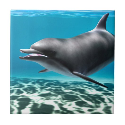 Lächelnde Dolphin Fliese (Vorderseite)