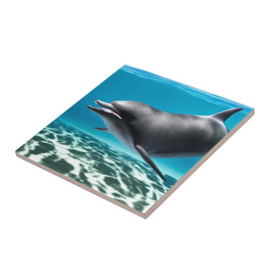 Lächelnde Dolphin Fliese (Seite)