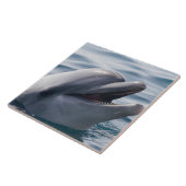 Lächelnde Dolphin Fliese (Seite)