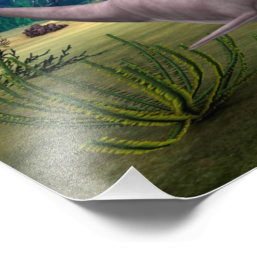 Lächelnde Dolphin Fotodruck (Ecke)