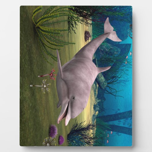 Lächelnde Dolphin Fotoplatte (Vorderseite)