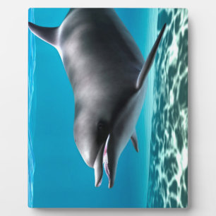Lächelnde Dolphin Fotoplatte