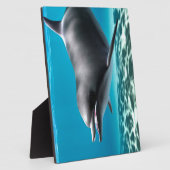 Lächelnde Dolphin Fotoplatte (Seite)
