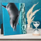 Lächelnde Dolphin Fotoplatte (Seite)