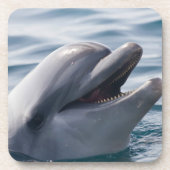 Lächelnde Dolphin Getränkeuntersetzer (Vorderseite)