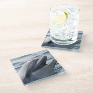 Lächelnde Dolphin Glasuntersetzer