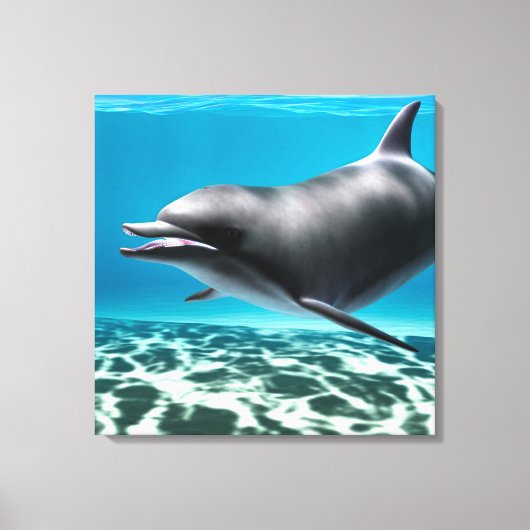 Lächelnde Dolphin Leinwanddruck (Vorderseite)