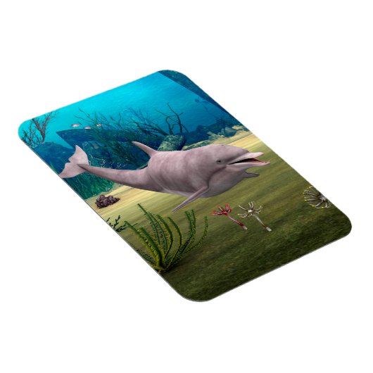 Lächelnde Dolphin Magnet (Rechte Seite)