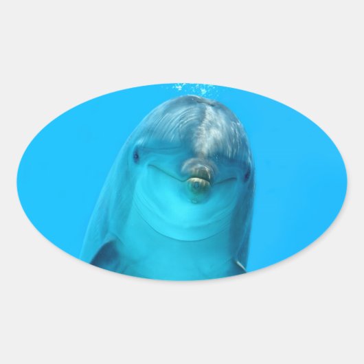 Lächelnde Dolphin Ovaler Aufkleber (Vorderseite)