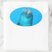 Lächelnde Dolphin Ovaler Aufkleber (Tasche)