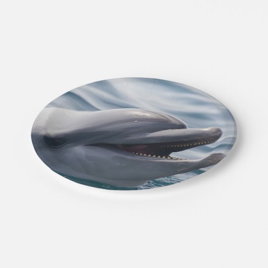Lächelnde Dolphin Pappteller (Schrägansicht)