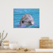 Lächelnde Dolphin Poster (Küche)