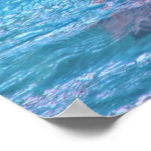 Lächelnde Dolphin Poster (Ecke)