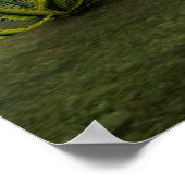 Lächelnde Dolphin Poster (Ecke)