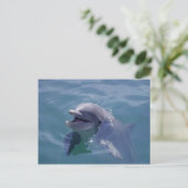 Lächelnde Dolphin Postkarte (Stehend Vorderseite)