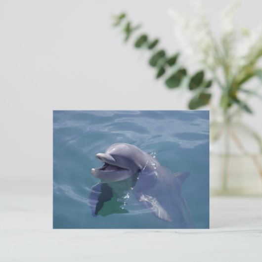 Lächelnde Dolphin Postkarte (Stehend Vorderseite)