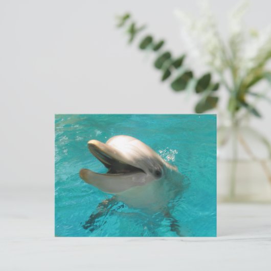 Lächelnde Dolphin Postkarte (Stehend Vorderseite)