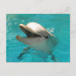 Lächelnde Dolphin Postkarte