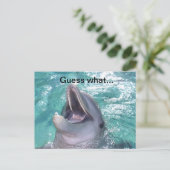 Lächelnde Dolphin Postkarte (Stehend Vorderseite)