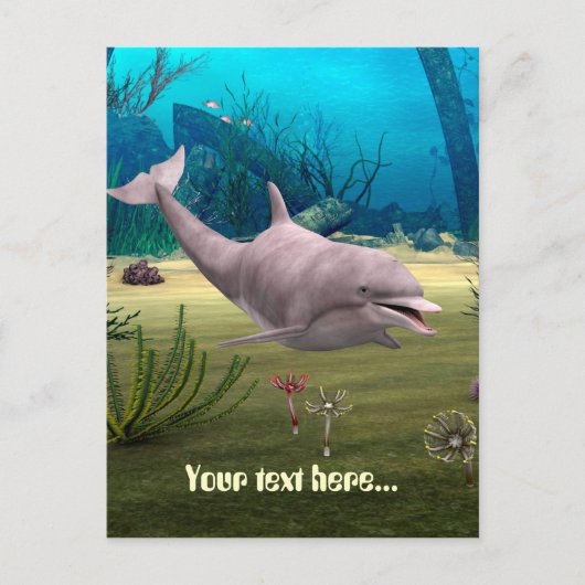 Lächelnde Dolphin Postkarte (Vorderseite)