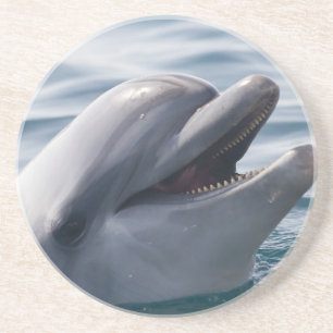Lächelnde Dolphin Sandstein Untersetzer