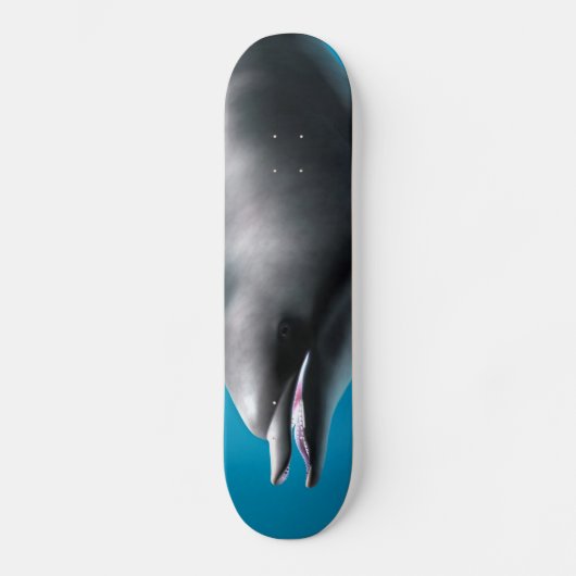 Lächelnde Dolphin Skateboard (Vorderseite)