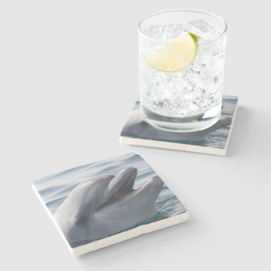 Lächelnde Dolphin Steinuntersetzer (Seitenansicht)