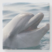 Lächelnde Dolphin Steinuntersetzer (Vorderseite)