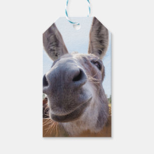 Lächelnde Donkey-Geschenkmarke Geschenkanhänger