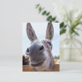 Lächelnde Donkey Postkarte (Stehend Vorderseite)