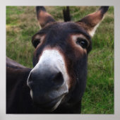 Lächelnde Donkey Print Poster (Vorne)