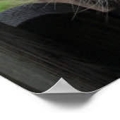 lächelnde Donkeys Poster (Ecke)