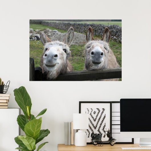 lächelnde Donkeys Poster (Heimbüro)